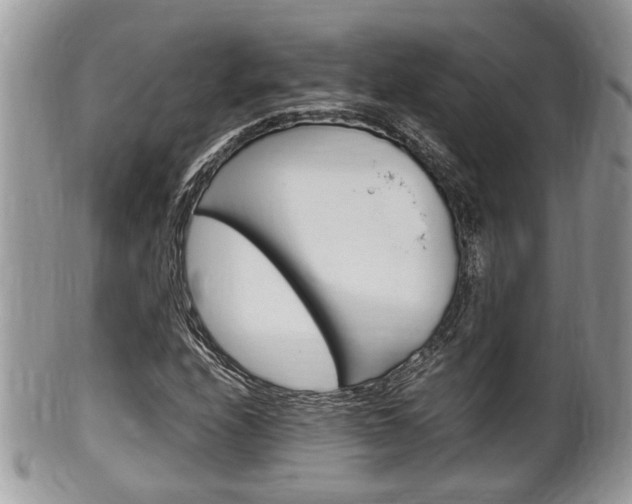 X0000100481208200806130725