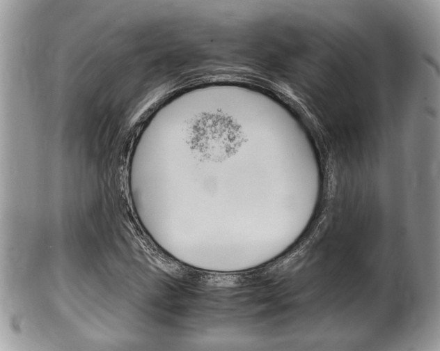 X0000100481211200806130725