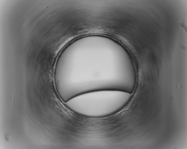 X0000100481212200806130725