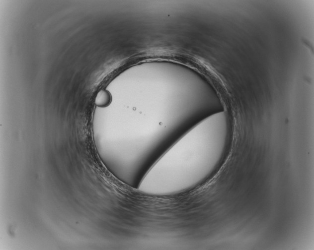 X0000100481213200806130725