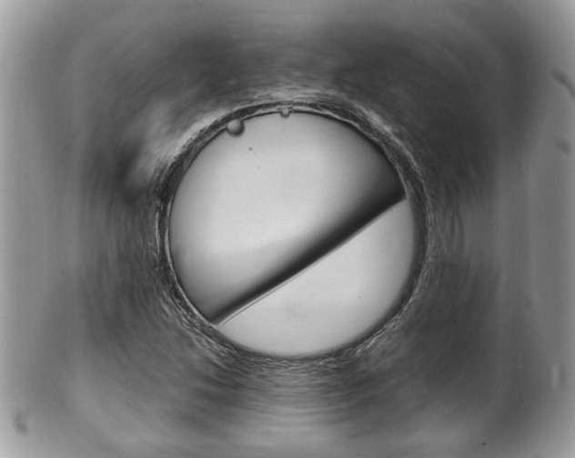 X0000100481214200806130725