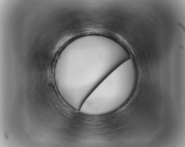 X0000100481215200806130725