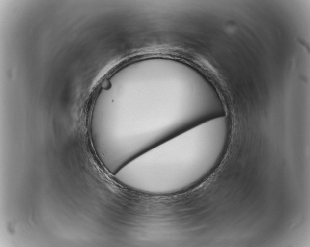X0000100481216200806130725