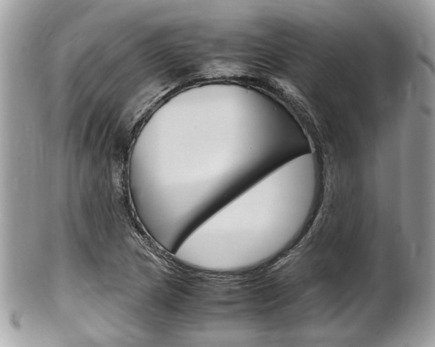 X0000100481217200806130725
