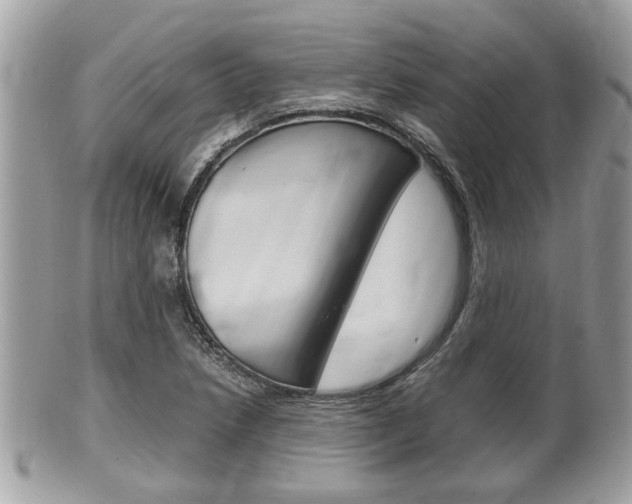X0000100481218200806130725