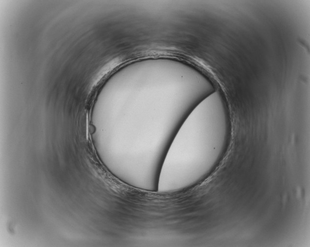 X0000100481219200806130725