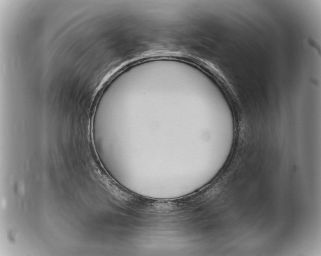 X0000100481220200806130725