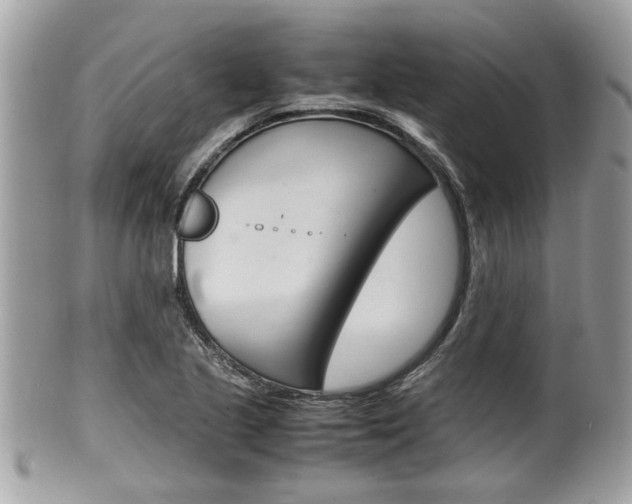 X0000100481221200806130725