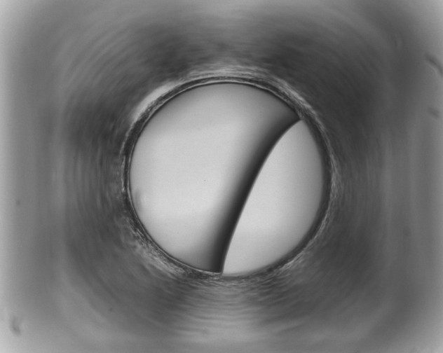 X0000100481222200806130725