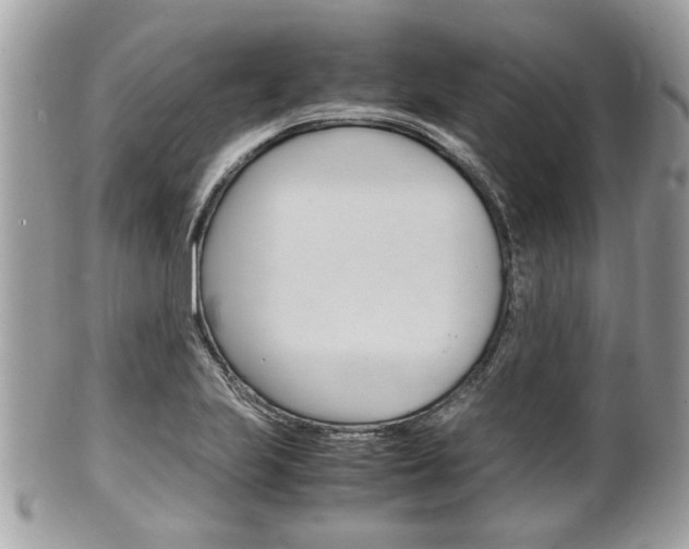 X0000100481223200806130725
