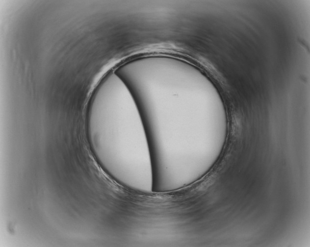 X0000100481224200806130725