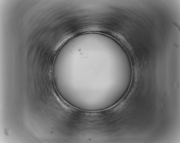 X0000100481225200806130725
