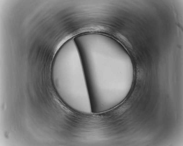 X0000100481226200806130725