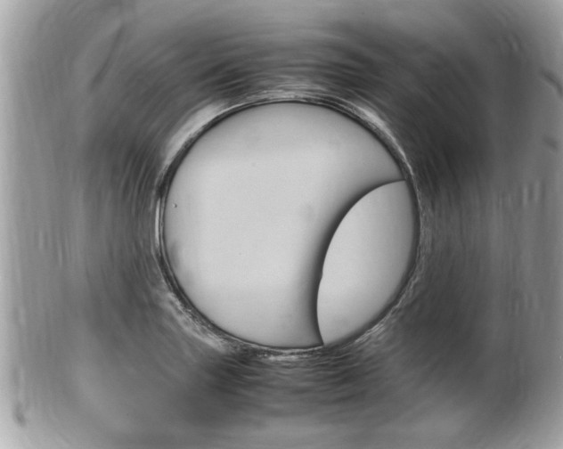 X0000100481227200806130725