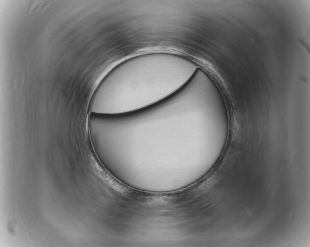 X0000100481228200806130725
