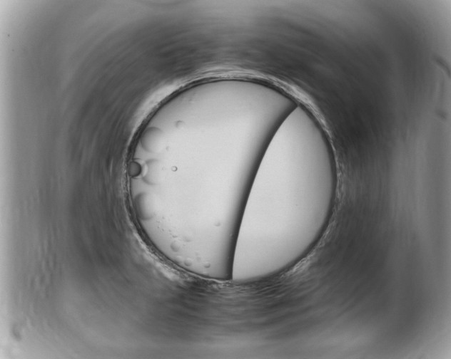 X0000100481231200806130725