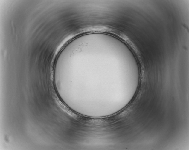 X0000100481232200806130725