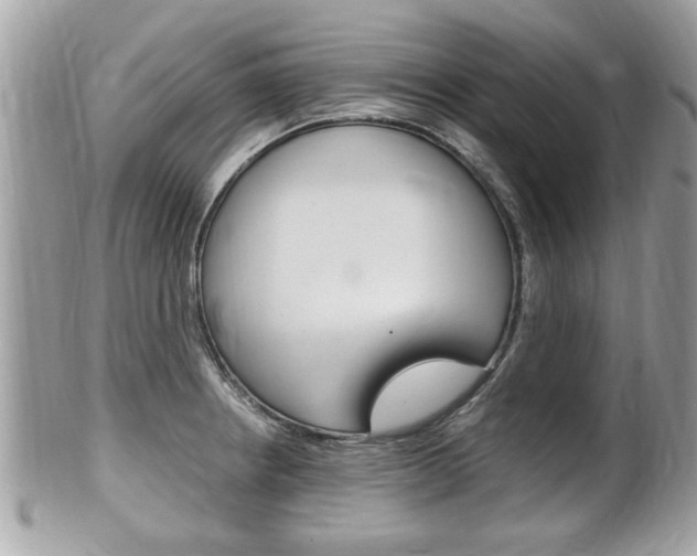 X0000100481234200806130725