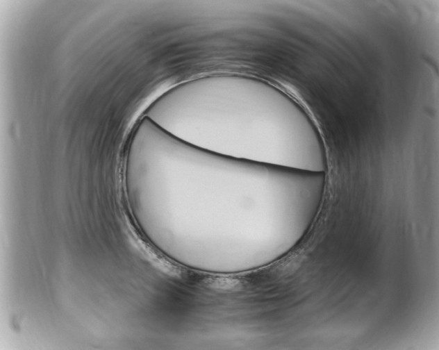 X0000100481235200806130725