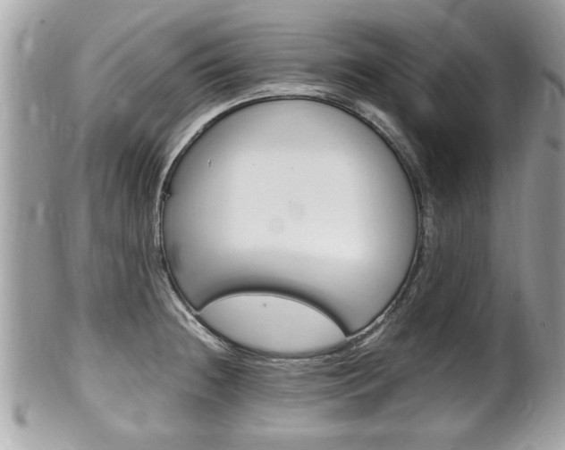 X0000100481236200806130725