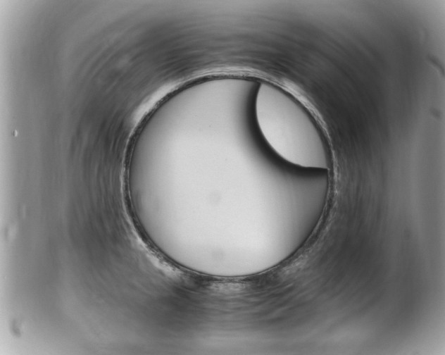 X0000100481237200806130725