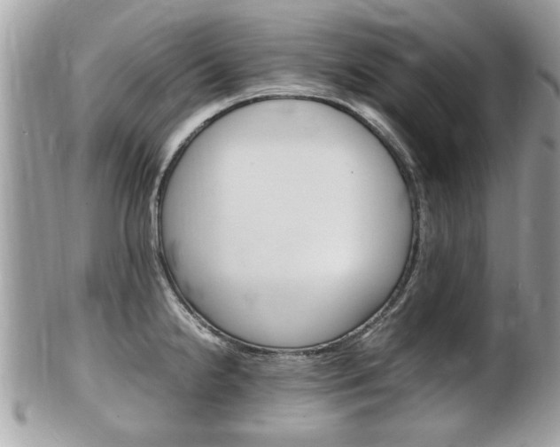X0000100481238200806130725