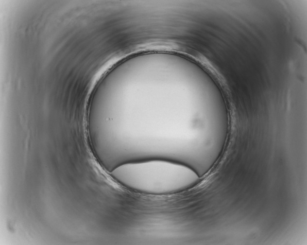 X0000100481240200806130725