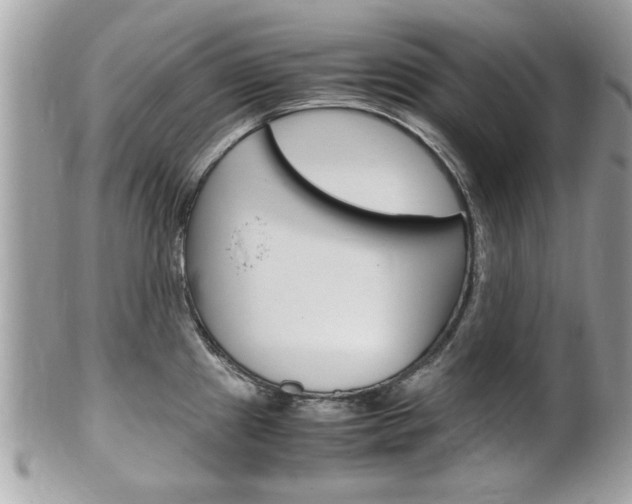 X0000100481241200806130725