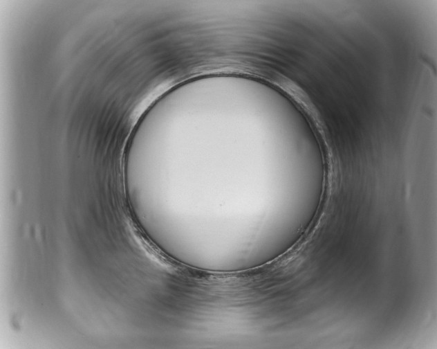 X0000100481242200806130725