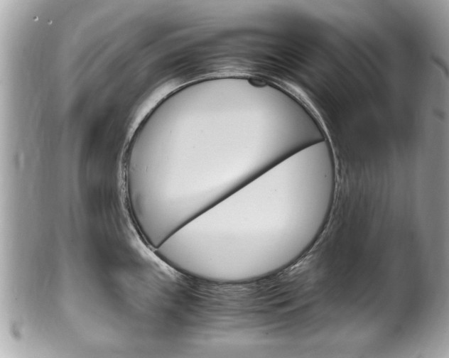 X0000100481243200806130725