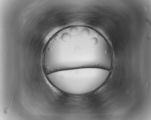 X0000100481245200806130725
