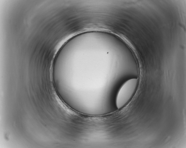 X0000100481246200806130725