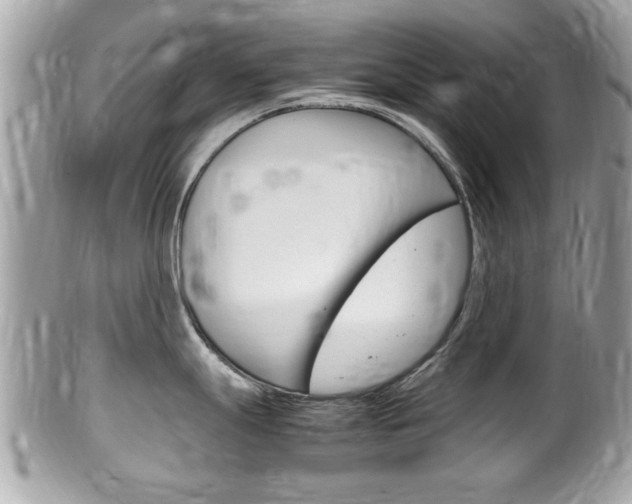 X0000100481247200806130725