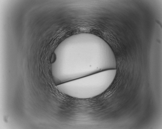 X0000100481249200806130724