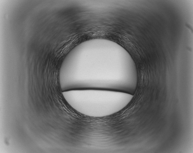 X0000100481250200806130724