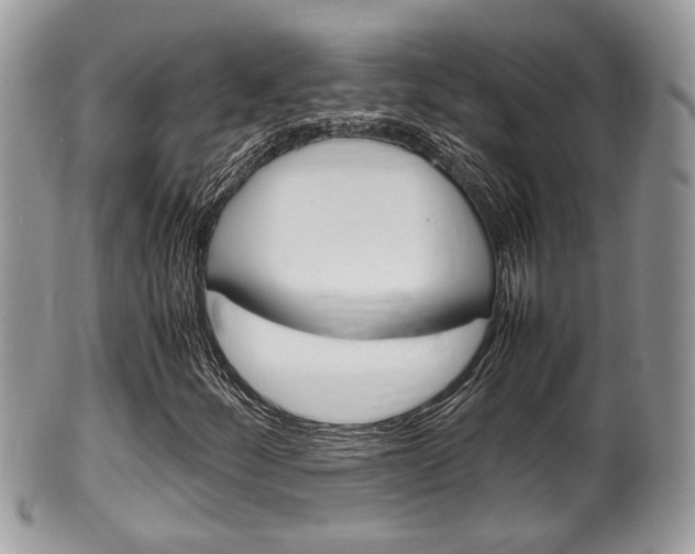 X0000100481252200806130724