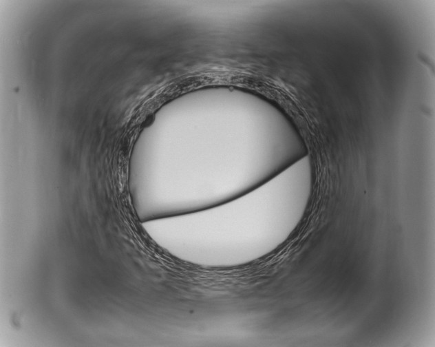 X0000100481253200806130724