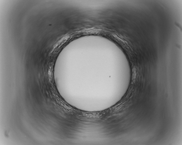 X0000100481254200806130724