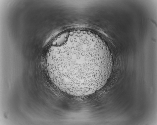 X0000100481255200806130724