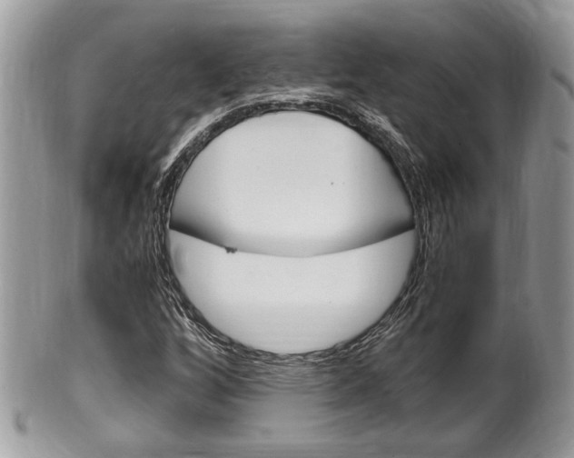 X0000100481256200806130724