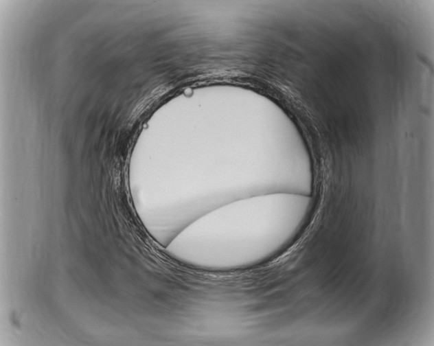 X0000100481257200806130724