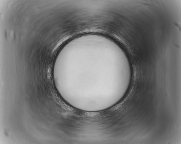 X0000100481258200806130724