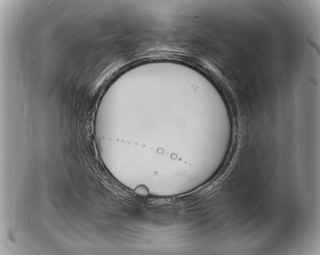 X0000100481259200806130724