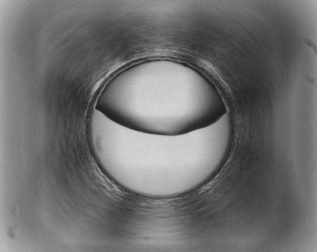 X0000100481260200806130724