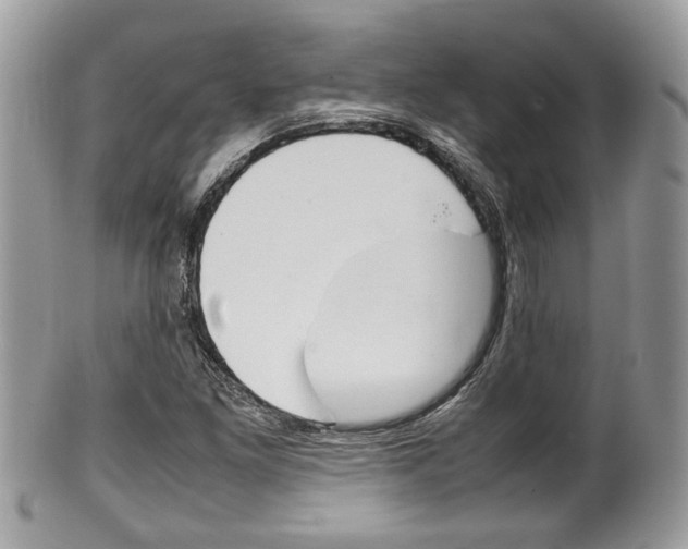X0000100481261200806130724