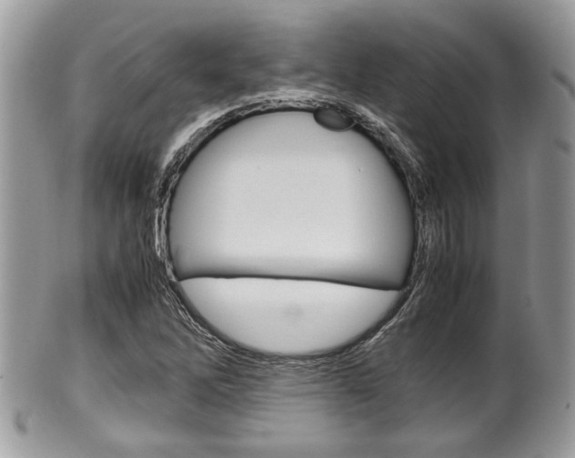 X0000100481262200806130724