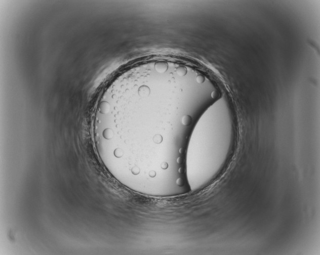 X0000100481263200806130724