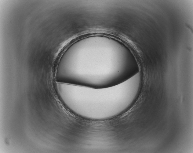 X0000100481264200806130724