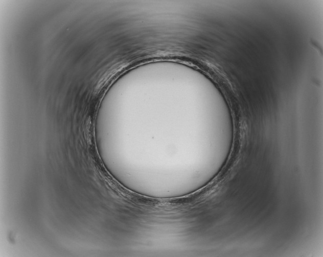 X0000100481265200806130724