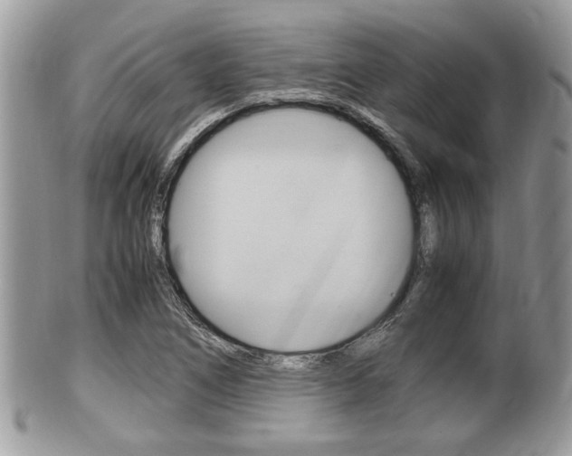 X0000100481266200806130724
